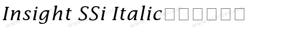 Insight SSi Italic字体转换